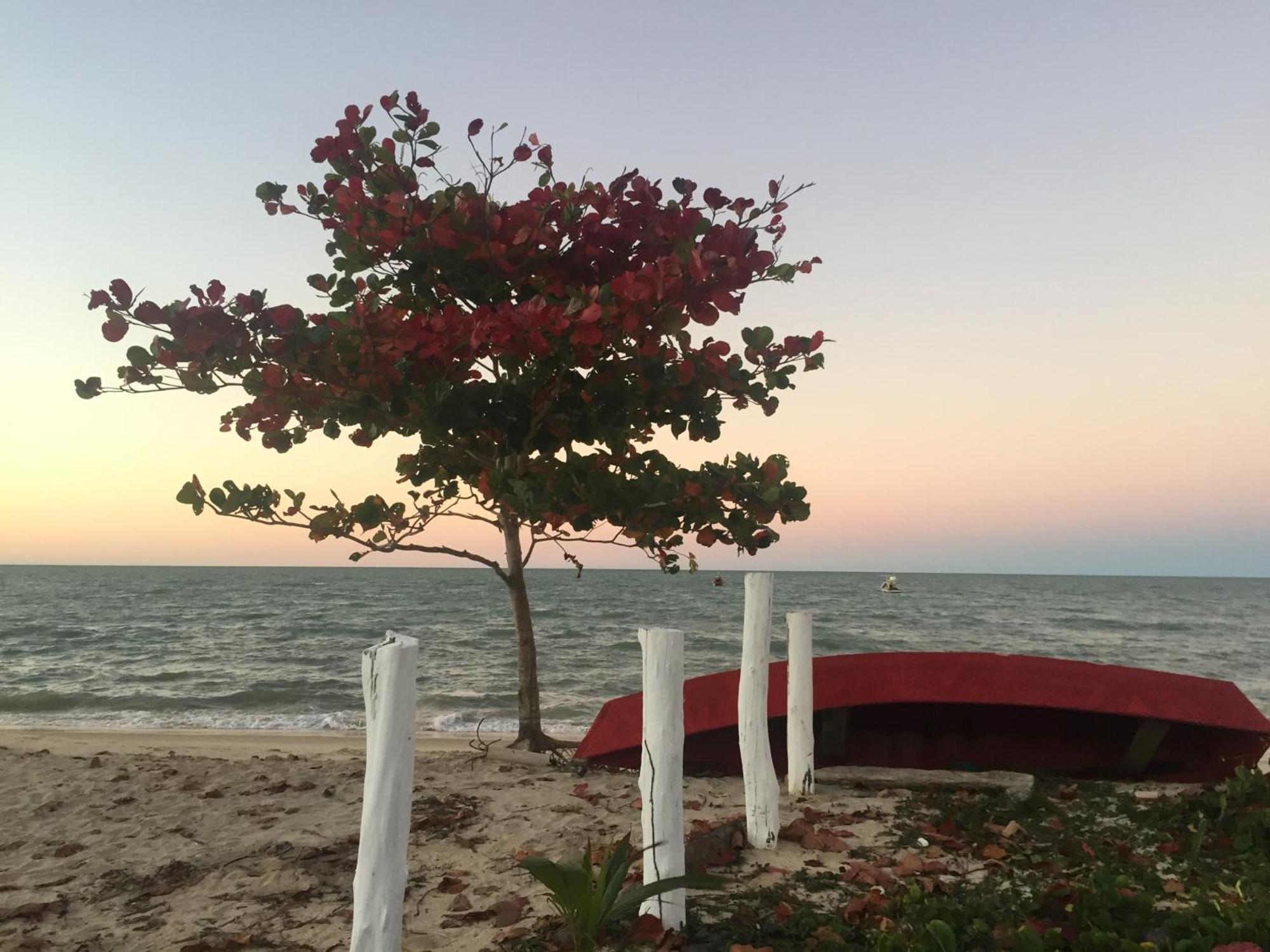 Chales Mata Da Praia Corumbau Exterior photo